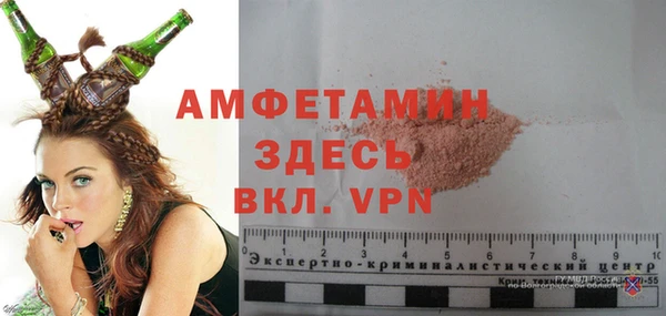 шишки Бородино