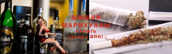шишки Бородино