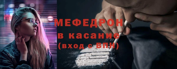 шишки Бородино