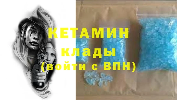 шишки Бородино