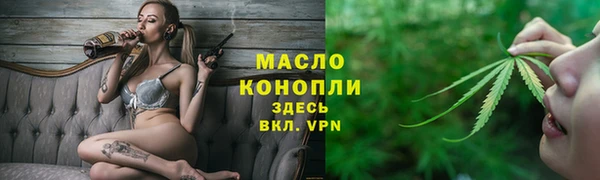 дживик Богородицк