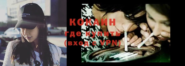 индика Богородск