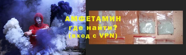 индика Богородск