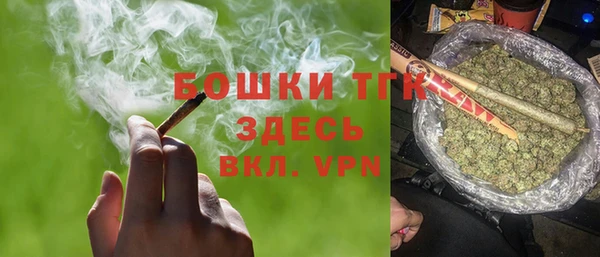 дживик Богородицк