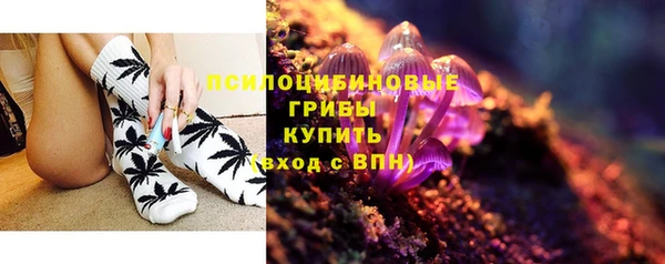 шишки Бородино