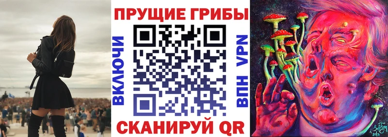 Галлюциногенные грибы мицелий  Верхняя Пышма 